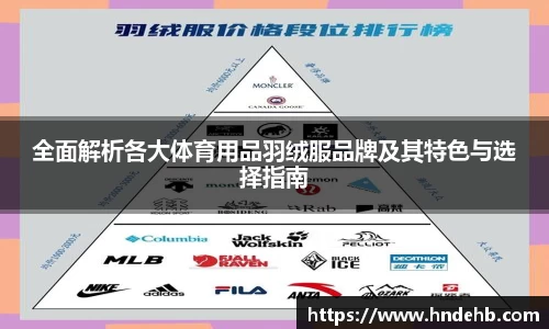 全面解析各大体育用品羽绒服品牌及其特色与选择指南